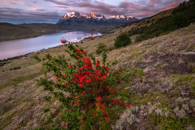 Laguna Azul al Amanecer (25 de 1)_resultado